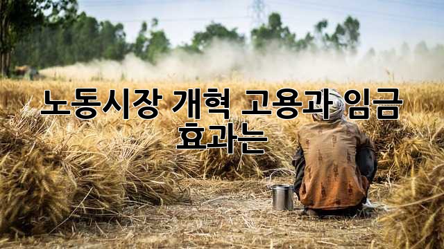 노동시장 개혁: 고용과 임금, 효과는?