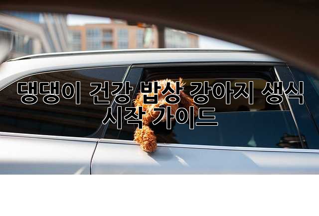 댕댕이 건강 밥상: 강아지 생식 시작 가이드